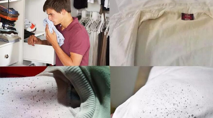 衣服護(hù)理小常識：潮濕天衣物有霉味不宜穿  該怎么辦？