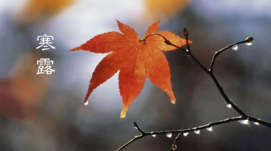 寒露時節(jié)！金環(huán)電器提醒大家要注意的事項