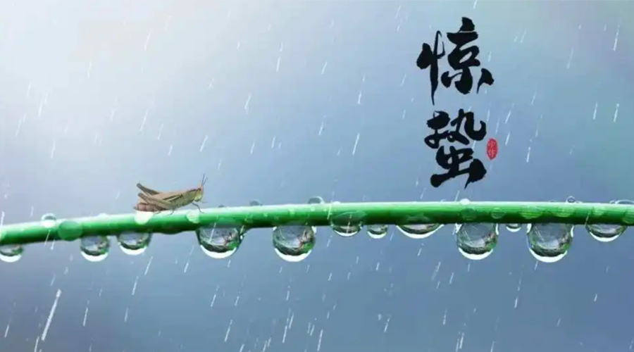 驚蟄時節(jié)！金環(huán)電器提醒大家干衣要注意這些