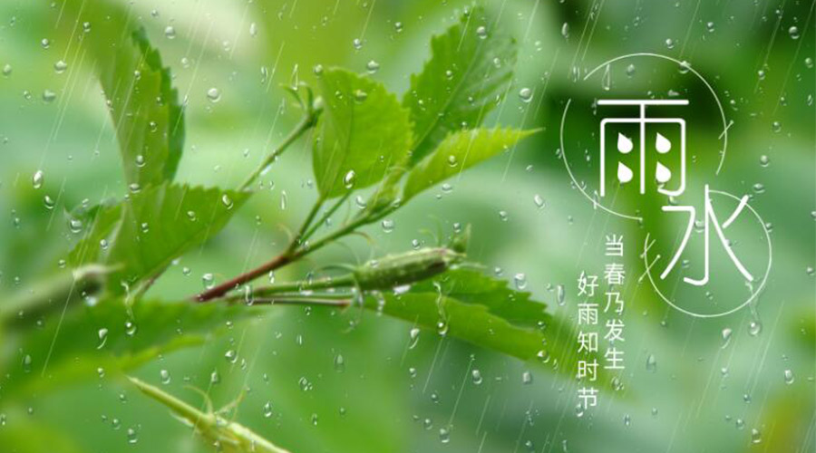 雨水時(shí)節(jié)！金環(huán)電器提醒大家要注意的事項(xiàng)