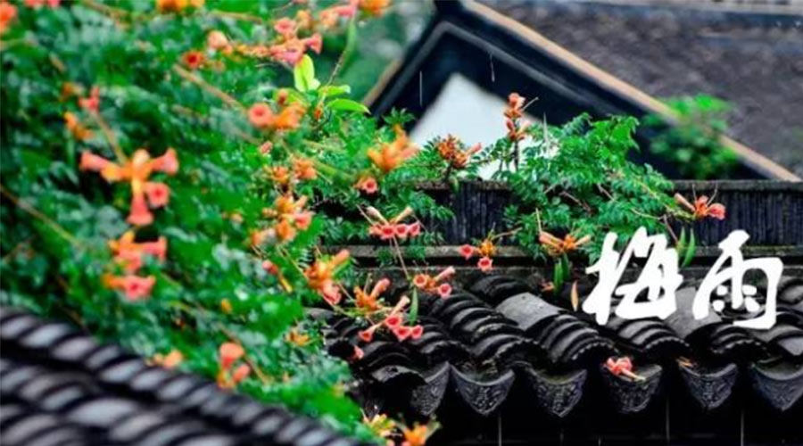 什么是梅雨？梅雨如何形成？  金環(huán)電器告訴你答案